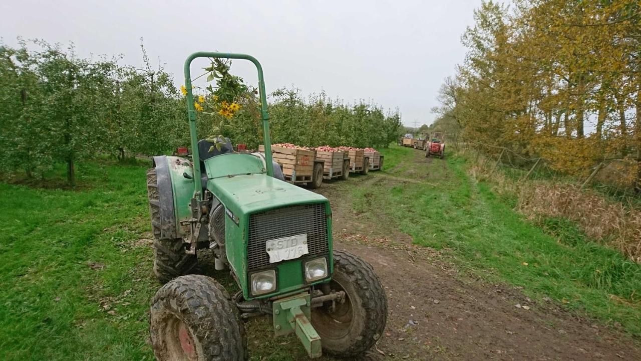 Ferienwohnung Auf Dem Bio Obsthof Twielenfleth Kültér fotó