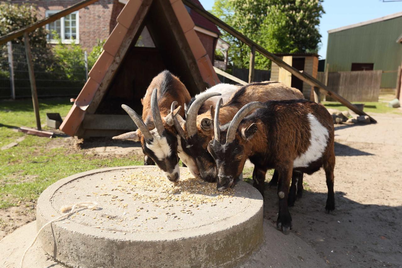 Ferienwohnung Auf Dem Bio Obsthof Twielenfleth Kültér fotó